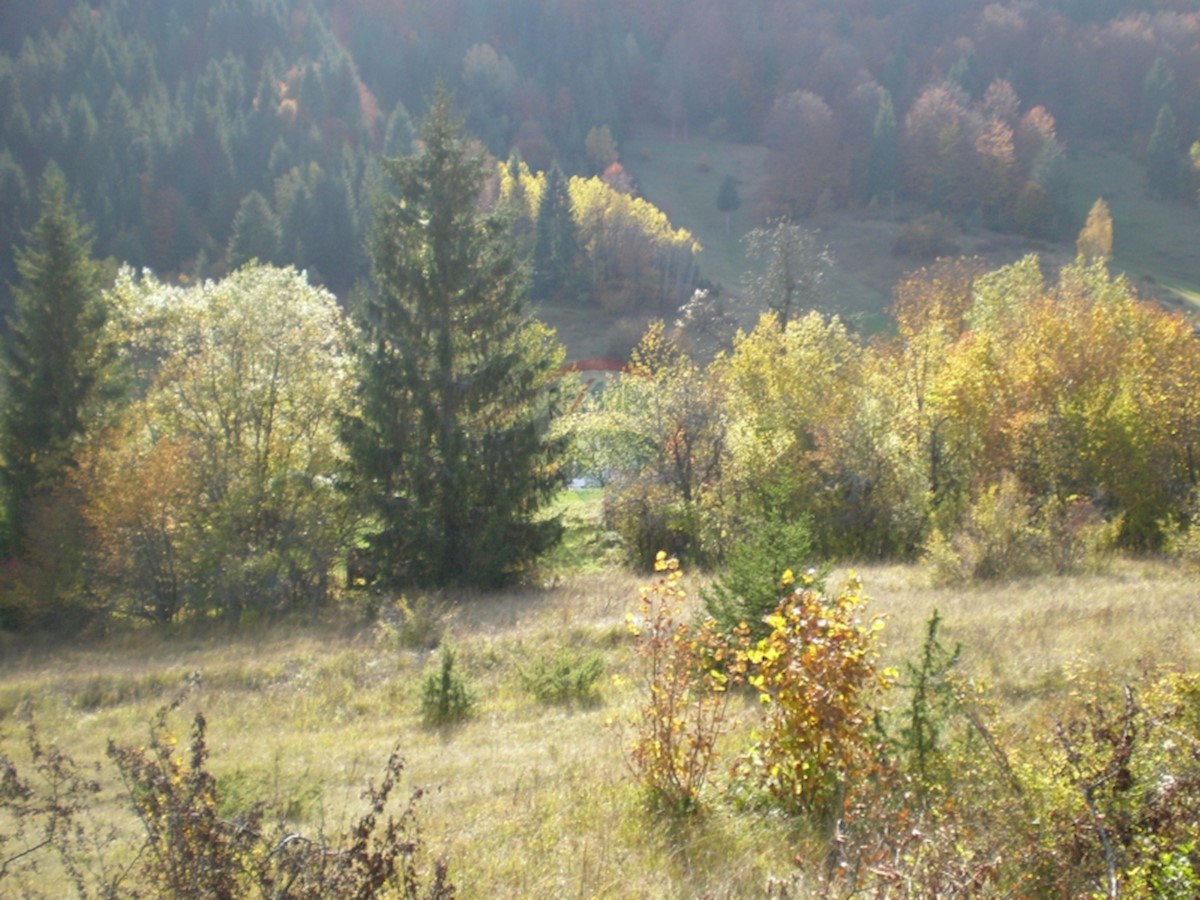 Prezid, Čabar, 482m2