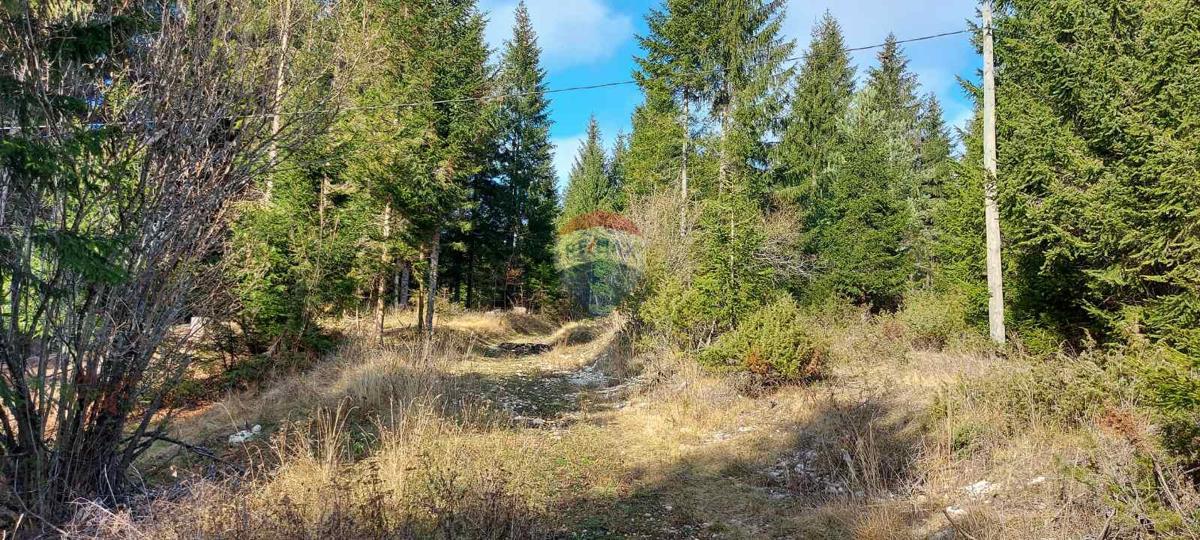 Sunger, Mrkopalj, 5.630m2