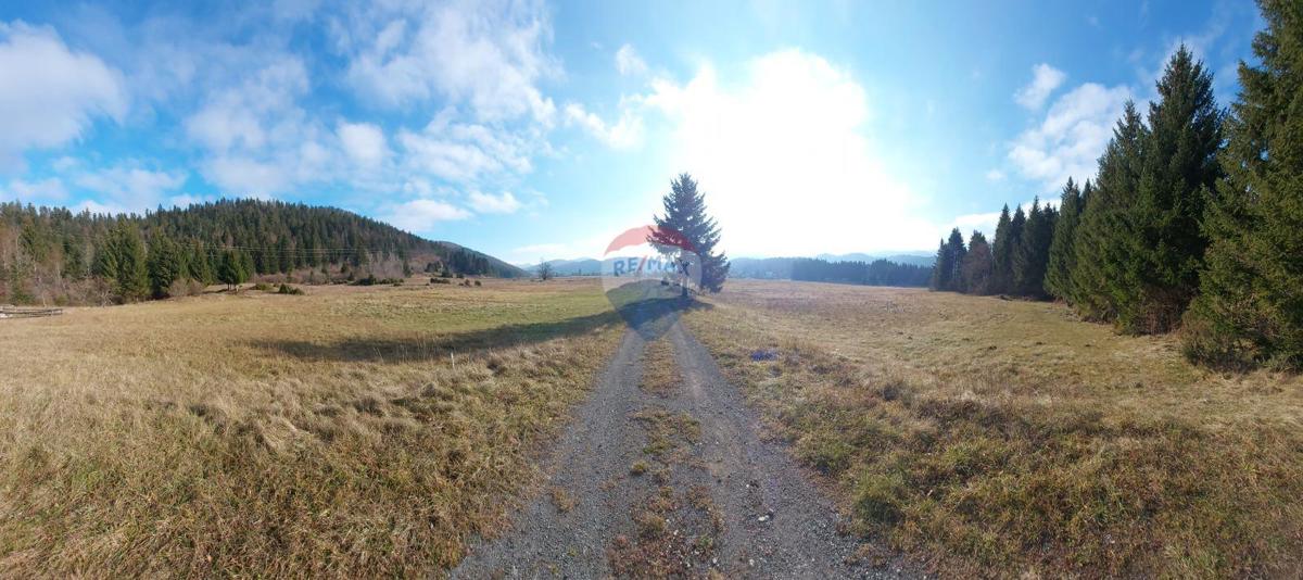 Sunger, Mrkopalj, 5.630m2