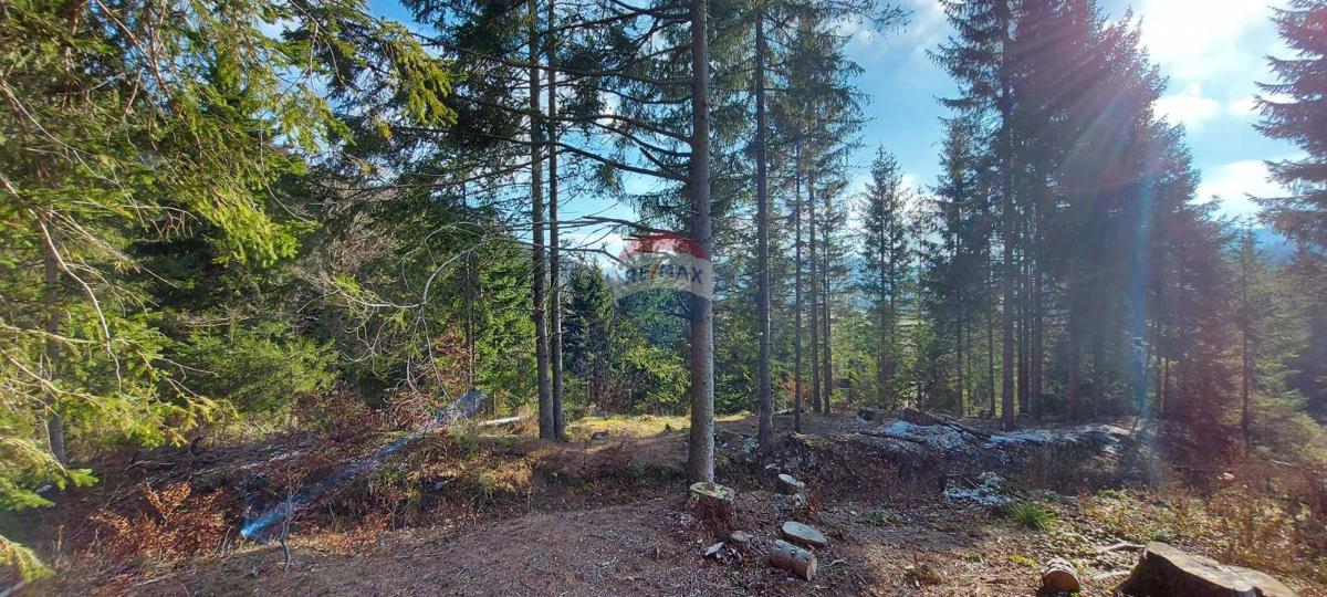 Sunger, Mrkopalj, 5.630m2