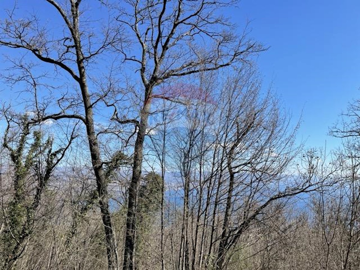 Veprinac, Opatija - Okolica, 12.075m2