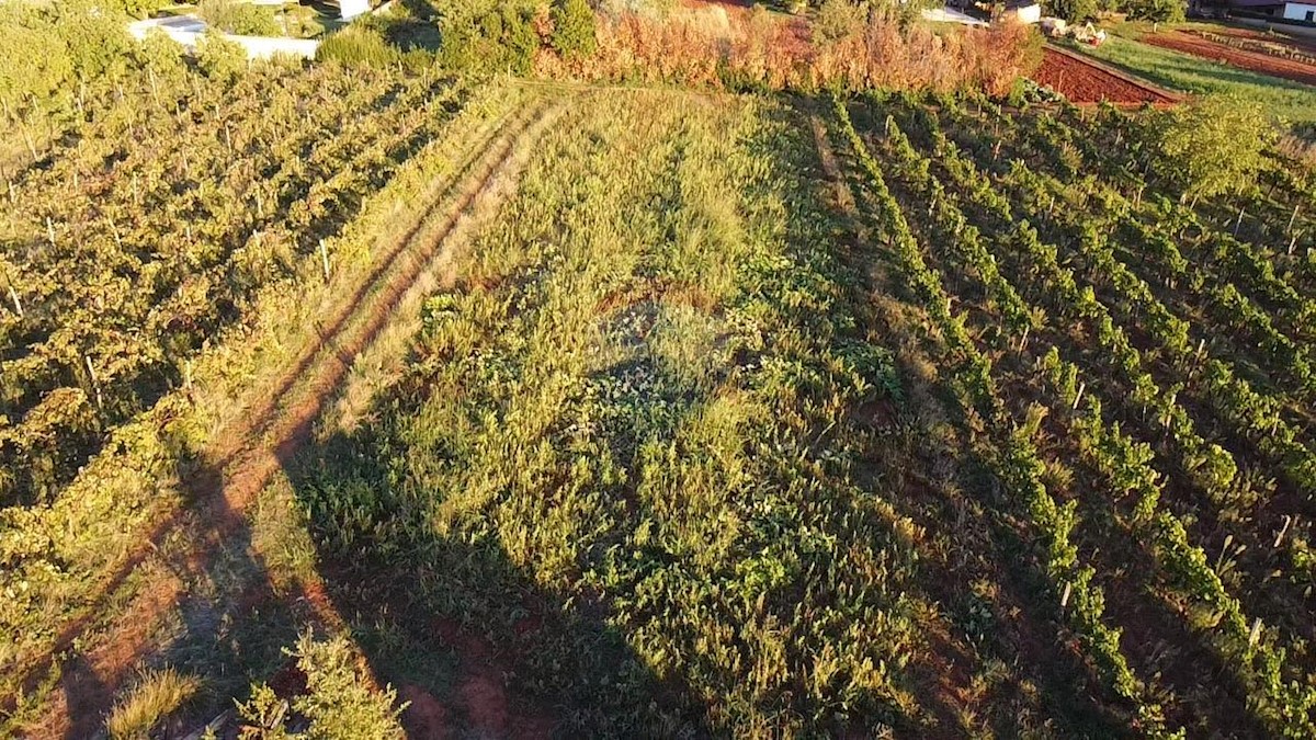 Kaštelir, Kaštelir-Labinci, 1.500m2