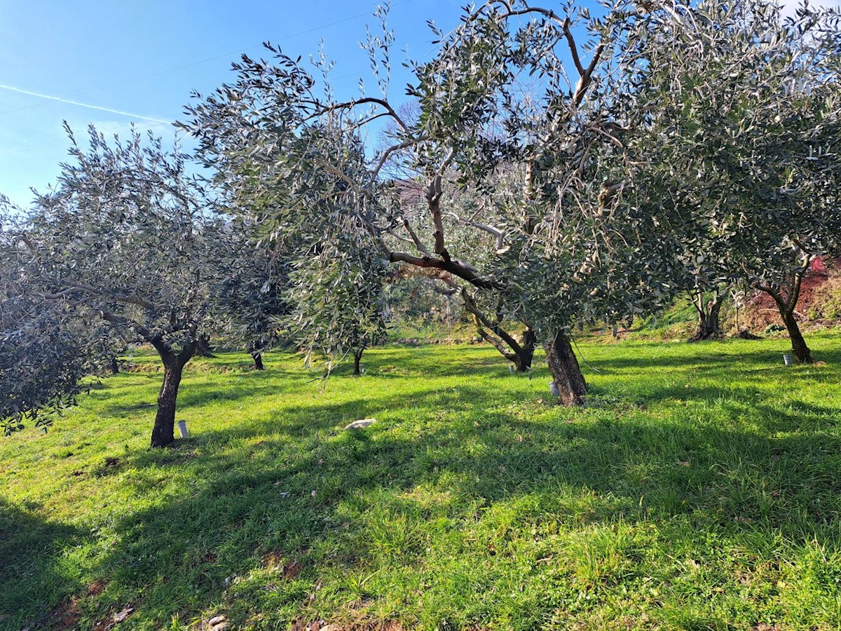 Mošćenice, Mošćenička Draga, 1.605m2