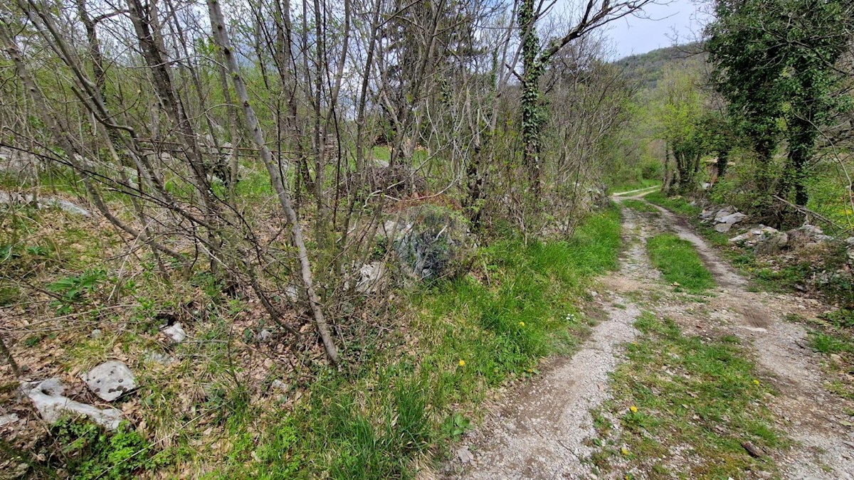 Ročko Polje, Buzet, 8.323m2