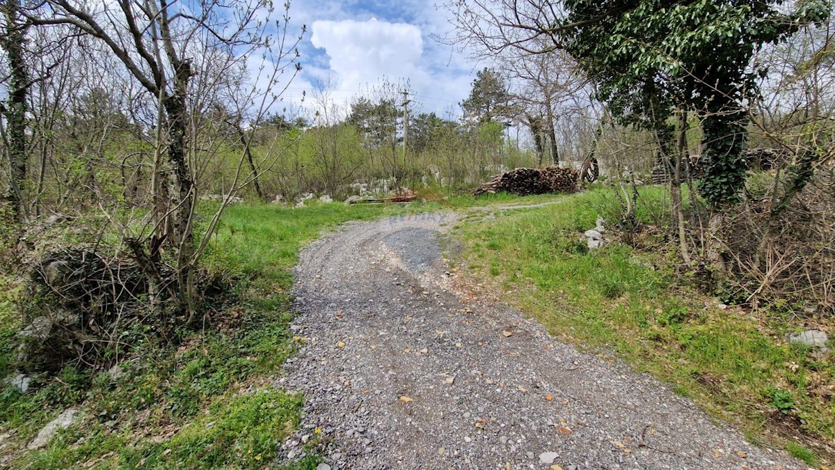 Ročko Polje, Buzet, 8.323m2