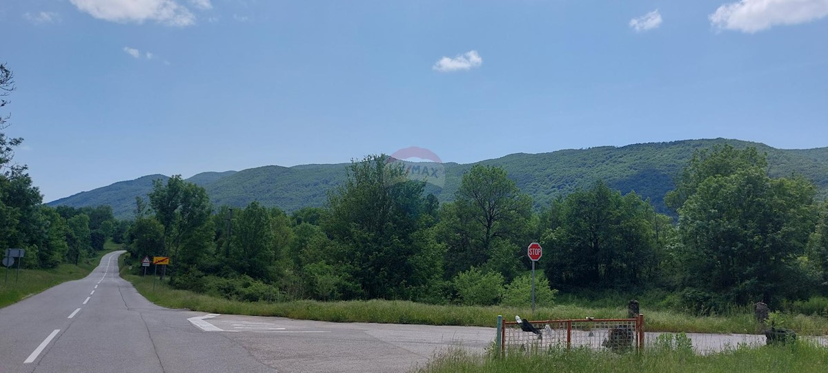 Žejane, Matulji, 51.000m2