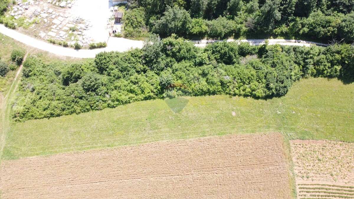 ISTRIA, TRVIŽ - Building plot 2383 m2, possible subdivision.