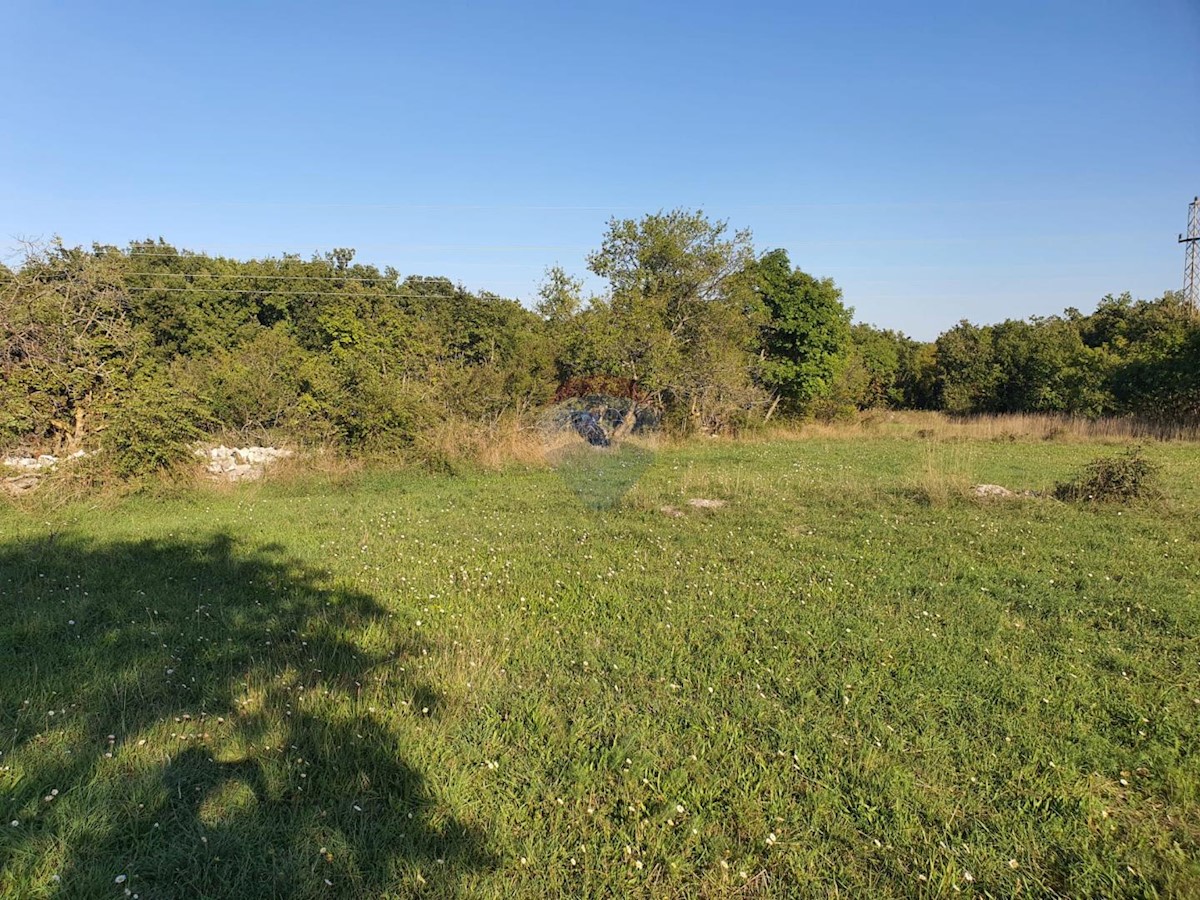 Istra, Marčana okolica, zazidljivo in kmetijsko zemljišče, 7.664m2