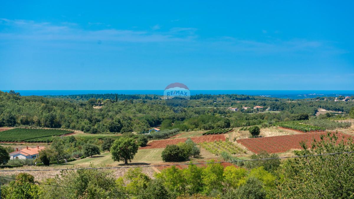 Hiša Vižinada, 419m2