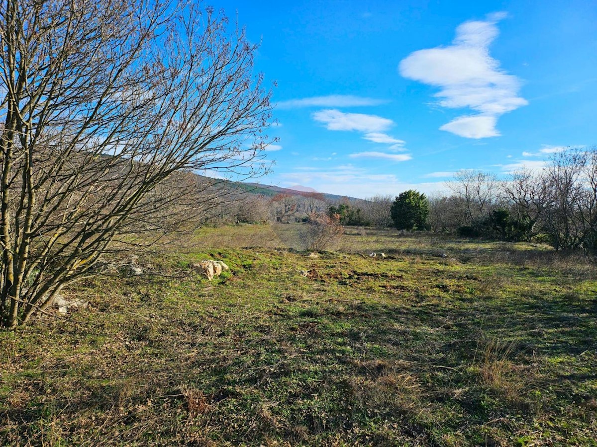 Stavbno zemljišče Labin, 3.669m2