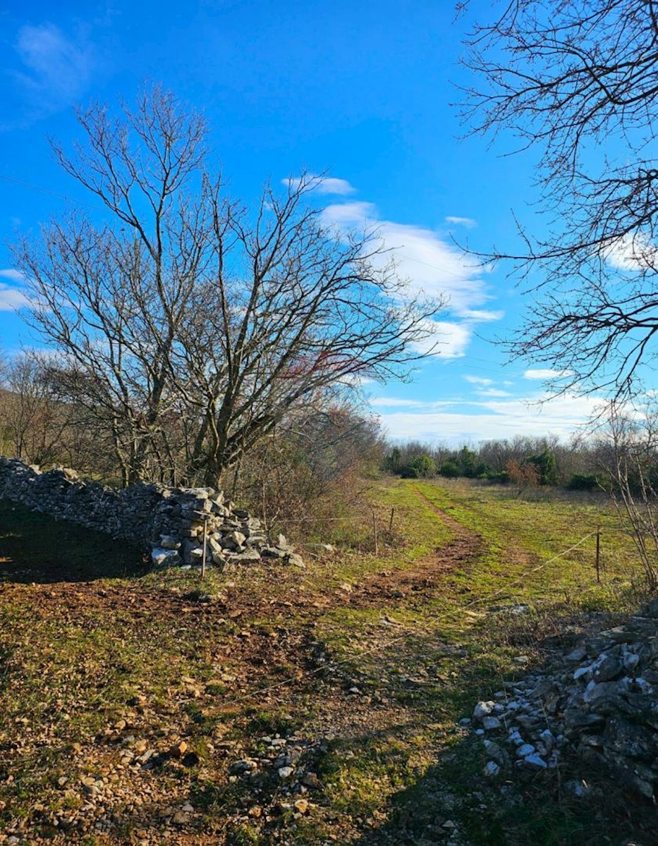 Stavbno zemljišče Labin, 3.669m2