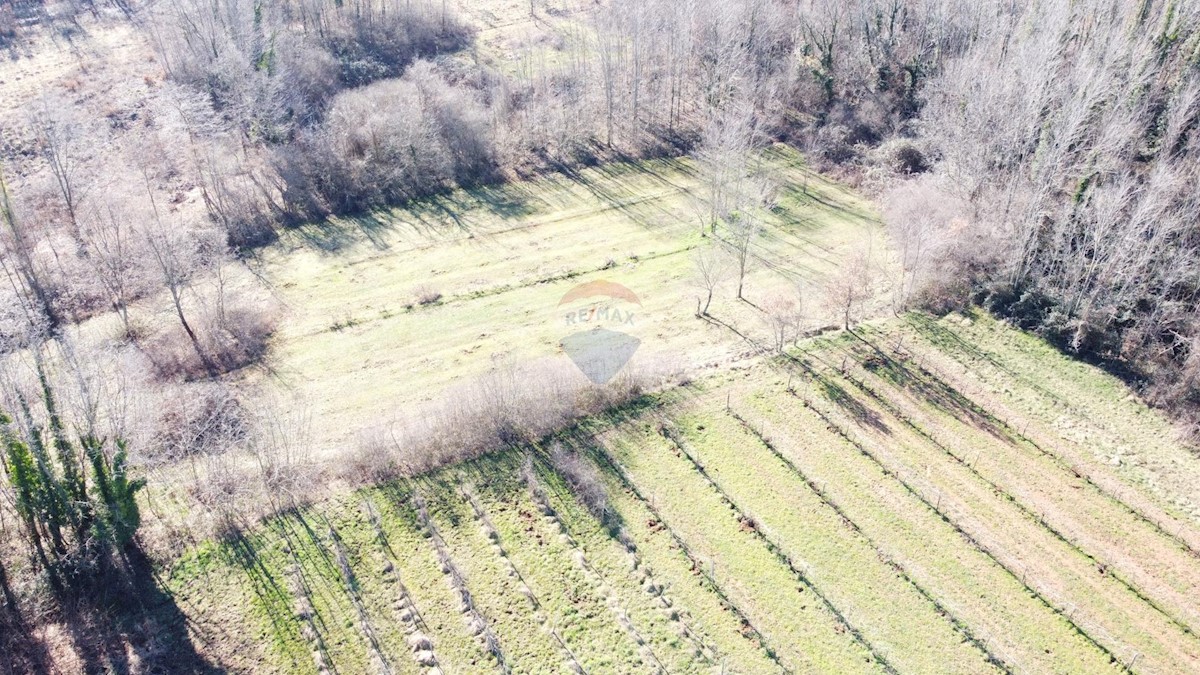 Stavbno zemljišče Labin, 5.750m2