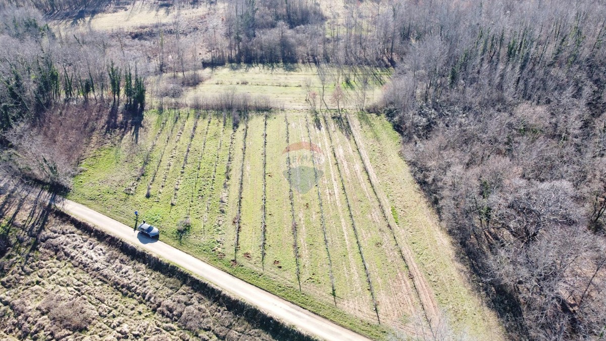 Stavbno zemljišče Labin, 5.750m2