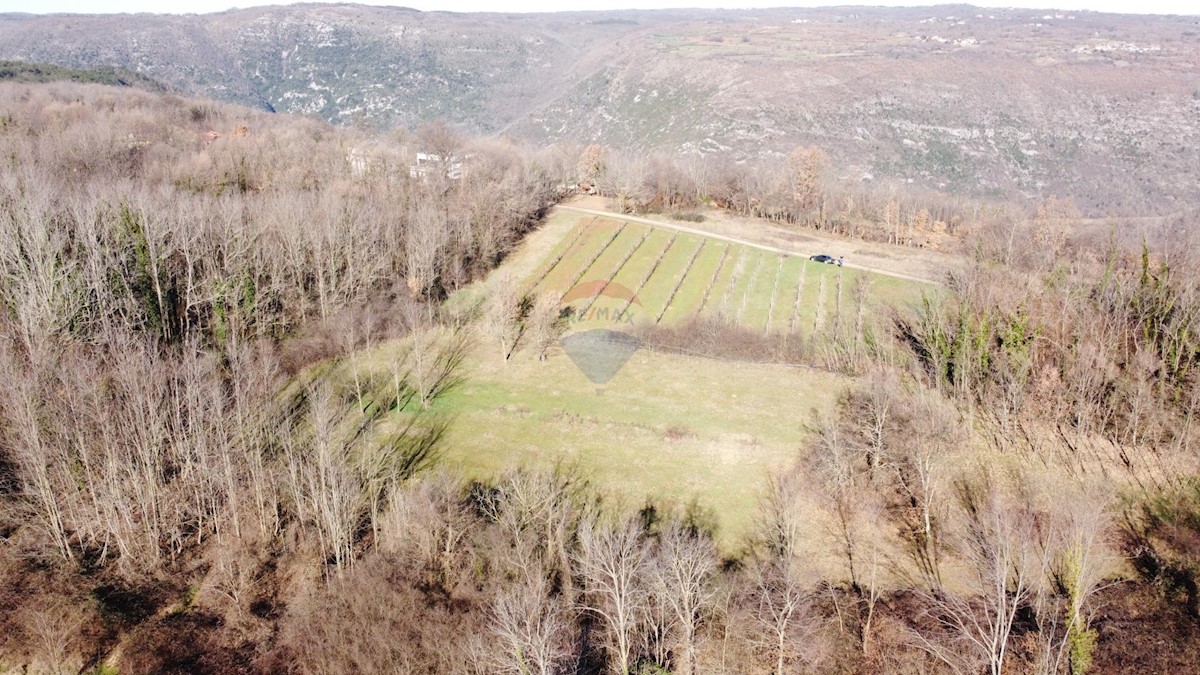 Stavbno zemljišče Labin, 5.750m2