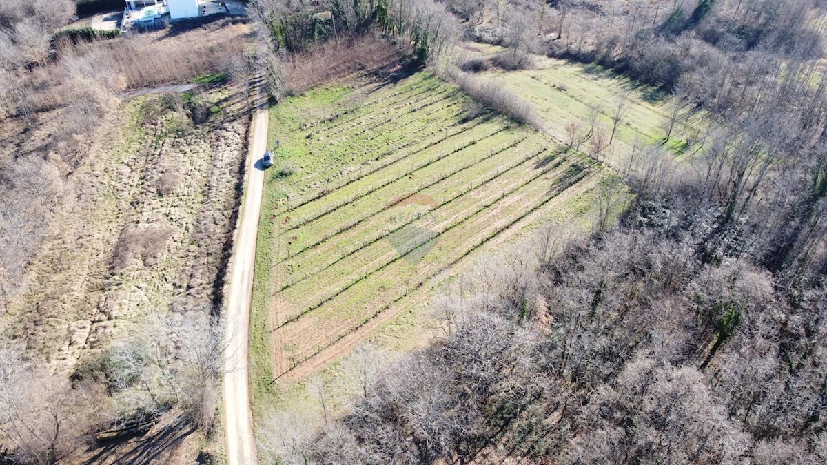 Stavbno zemljišče Labin, 5.750m2