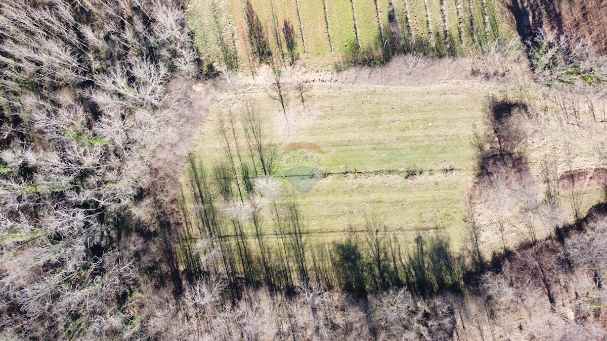 Stavbno zemljišče Labin, 5.750m2