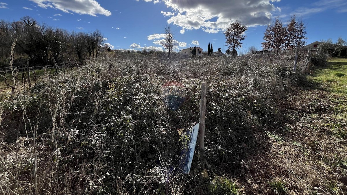 Stavbno zemljišče Vrh Lašići, Vižinada, 1.045m2