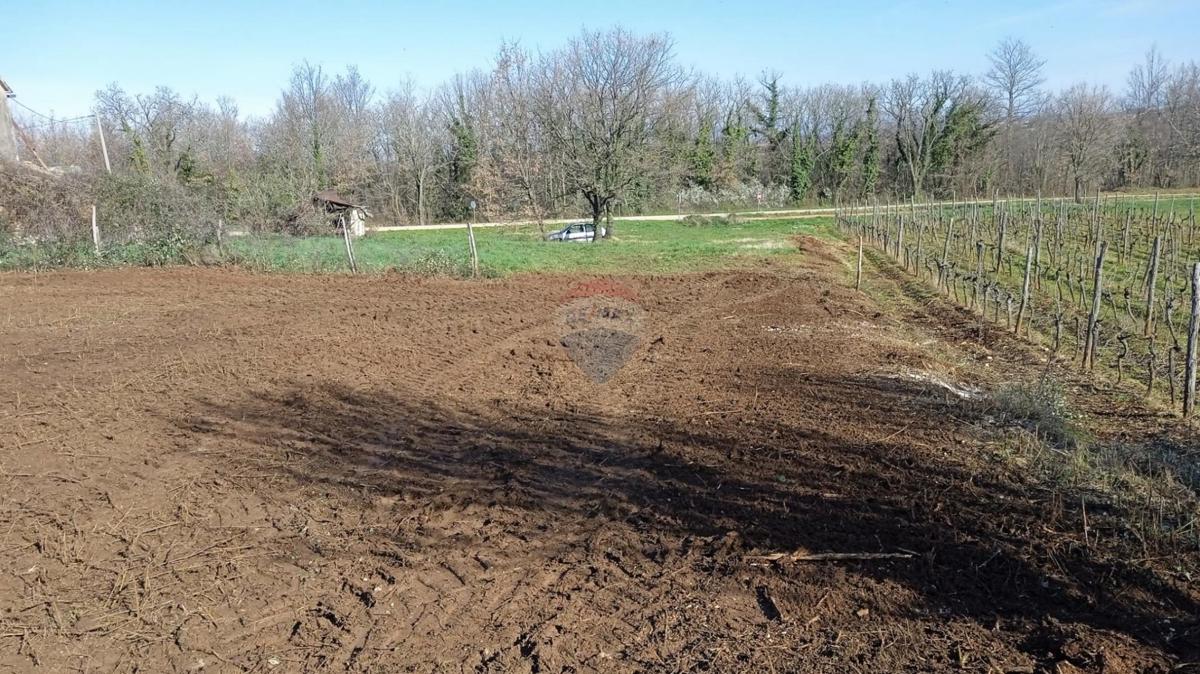 Stavbno zemljišče Vrh Lašići, Vižinada, 1.045m2