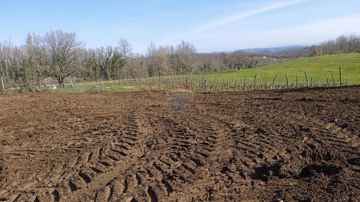 Stavbno zemljišče Vrh Lašići, Vižinada, 1.045m2
