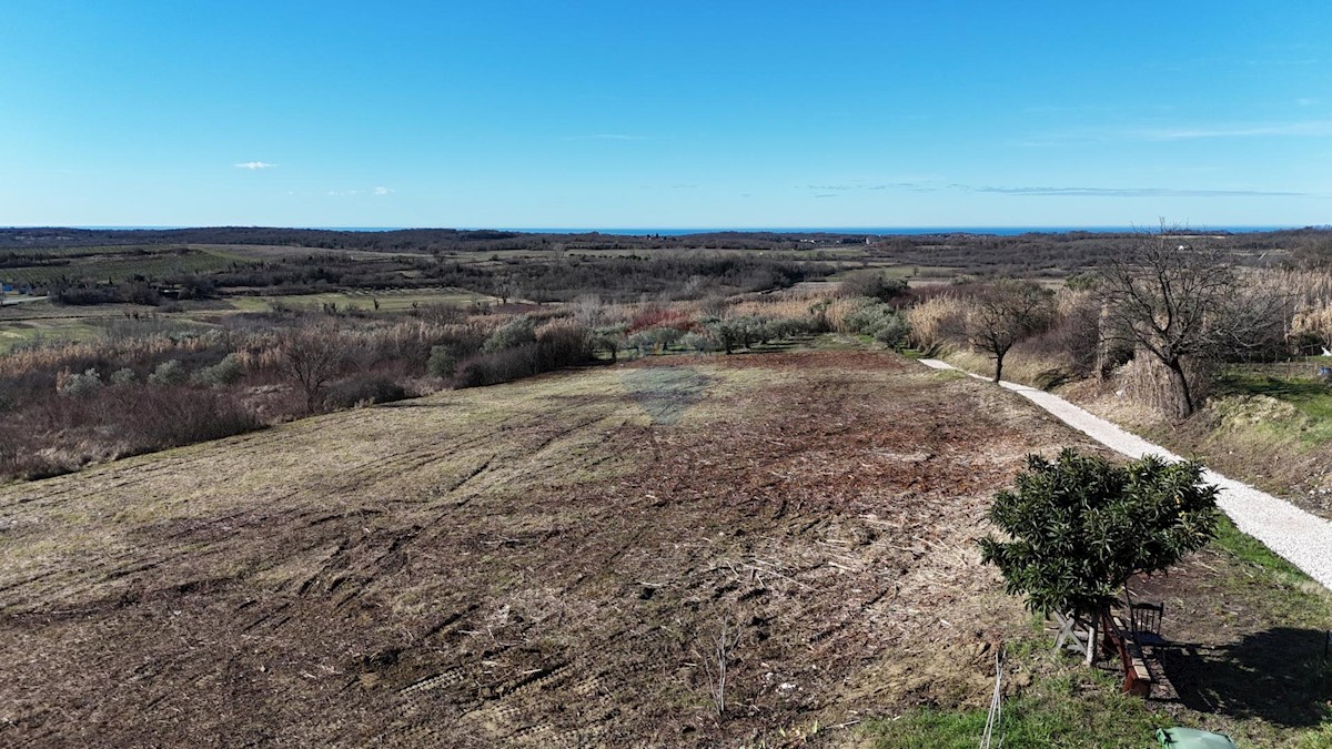 Stavbno zemljišče Buje, 1.032m2