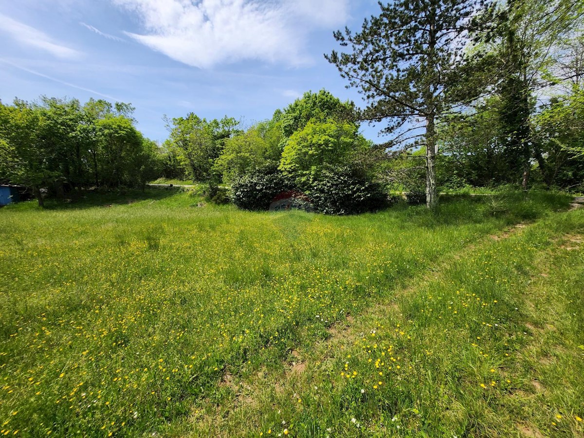 Stavbno zemljišče Gambetići, Višnjan, 19.430m2