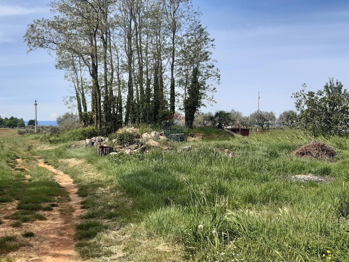 Stavbno zemljišče Labinci, Kaštelir-Labinci, 796m2