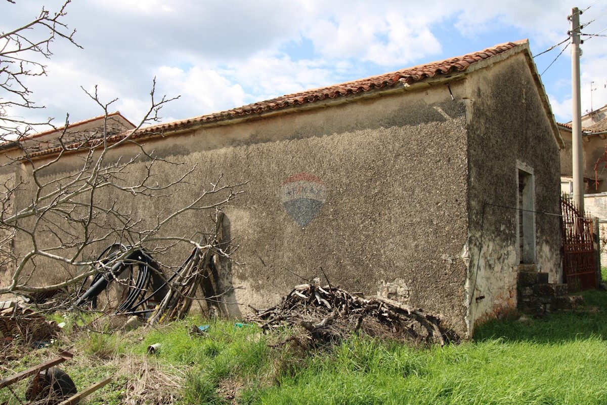 Hiša Perini, Sveti Lovreč, 240m2