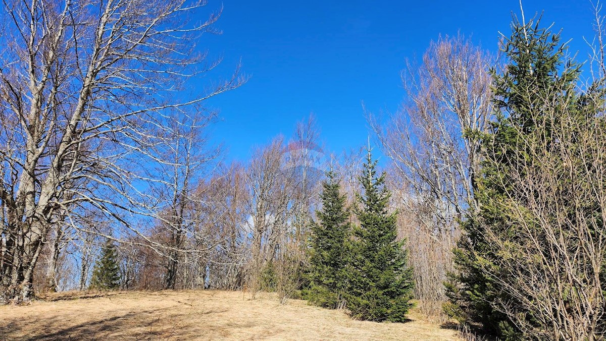 Stavbno zemljišče Delnice, 2.050m2