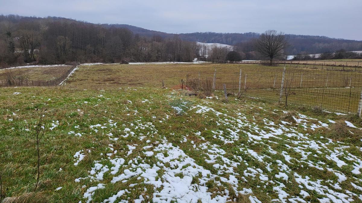 Hiša Kutina, 21.728m2