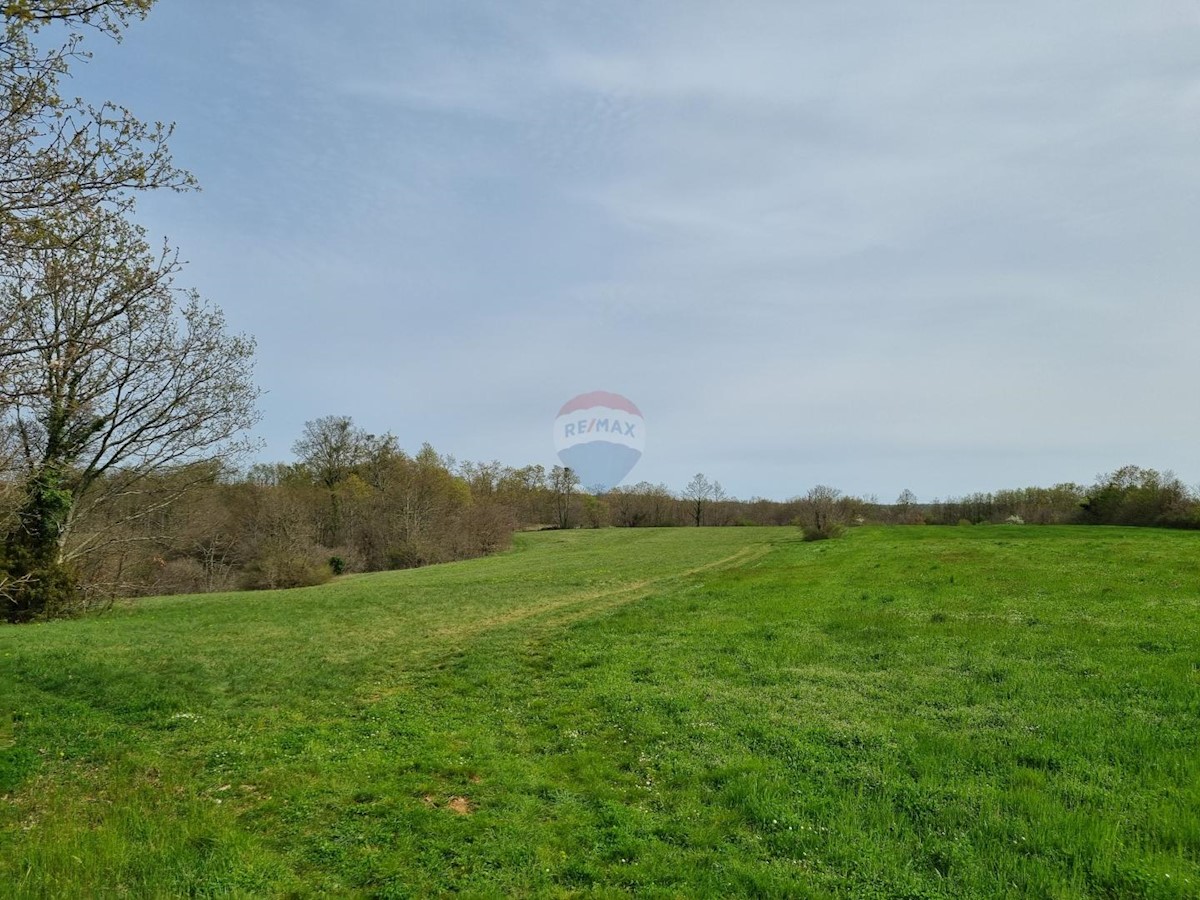 Stavbno zemljišče Žminj, 2.204m2