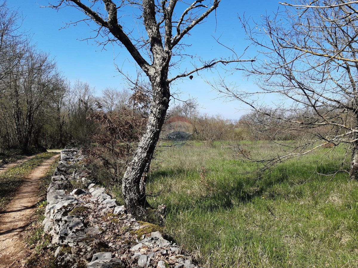 Stavbno zemljišče Sveti Petar u Šumi, Sveti Petar U Šumi, 2.500m2