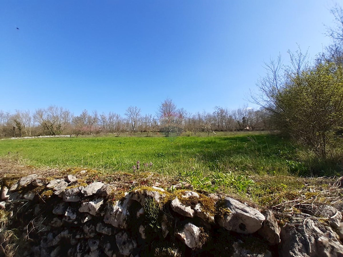 Stavbno zemljišče Sveti Petar u Šumi, Sveti Petar U Šumi, 2.500m2