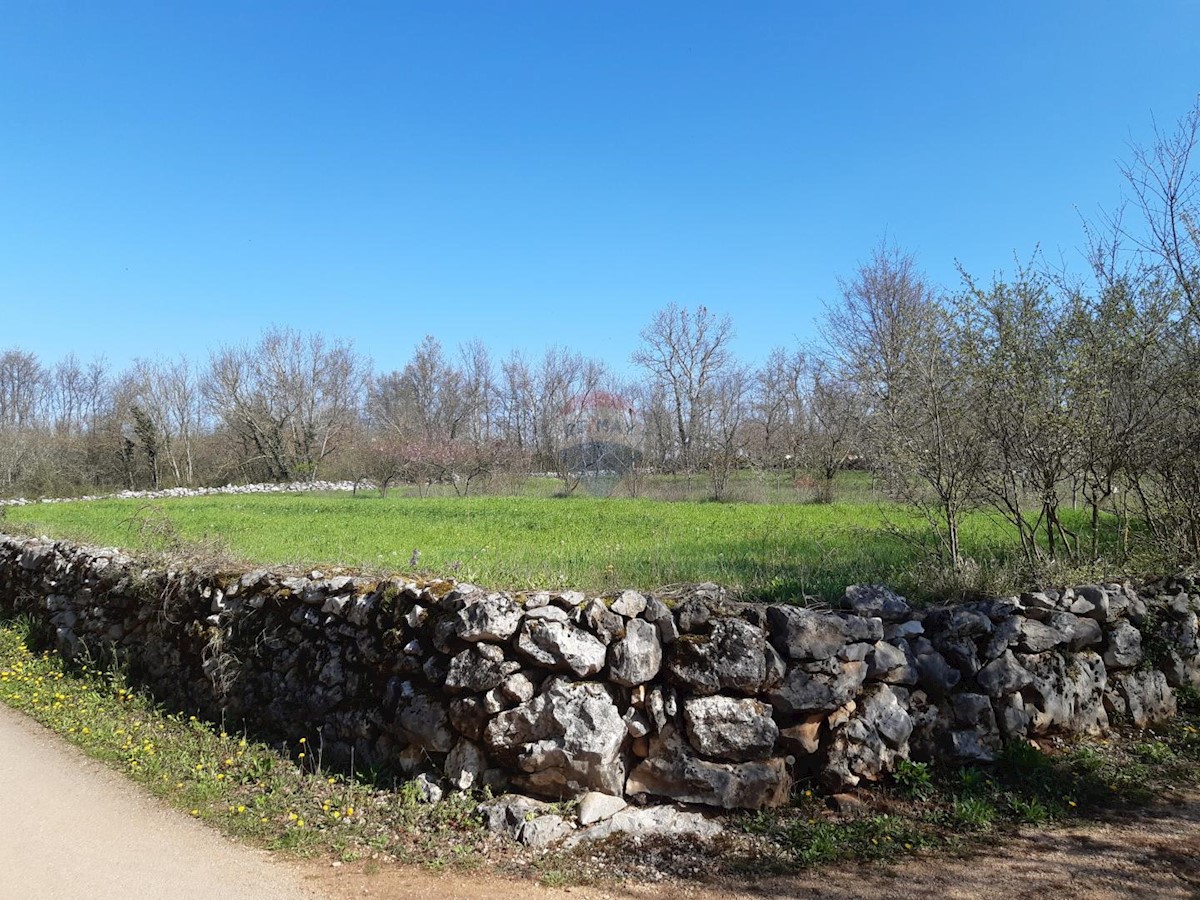 Stavbno zemljišče Sveti Petar u Šumi, Sveti Petar U Šumi, 2.500m2