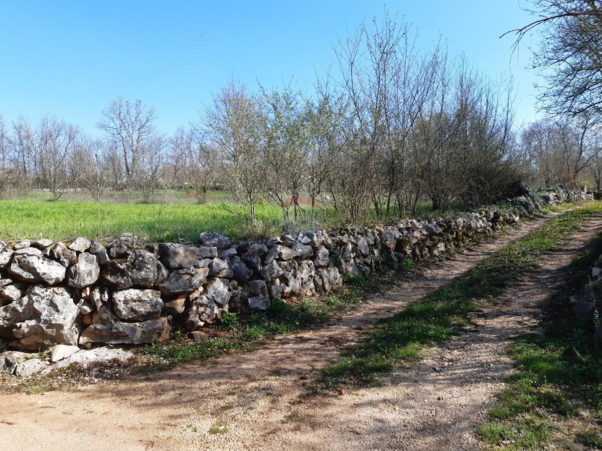 Stavbno zemljišče Sveti Petar u Šumi, Sveti Petar U Šumi, 2.500m2