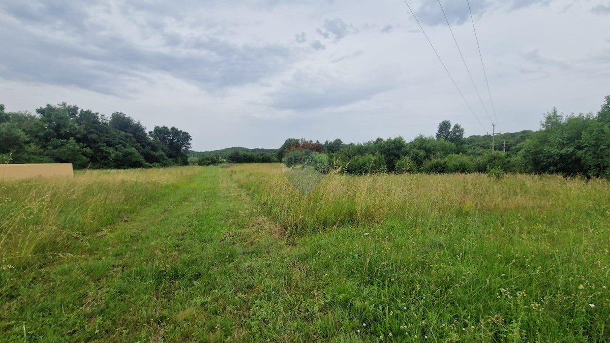 Stavbno zemljišče Gradina, Sveti Lovreč, 36.197m2