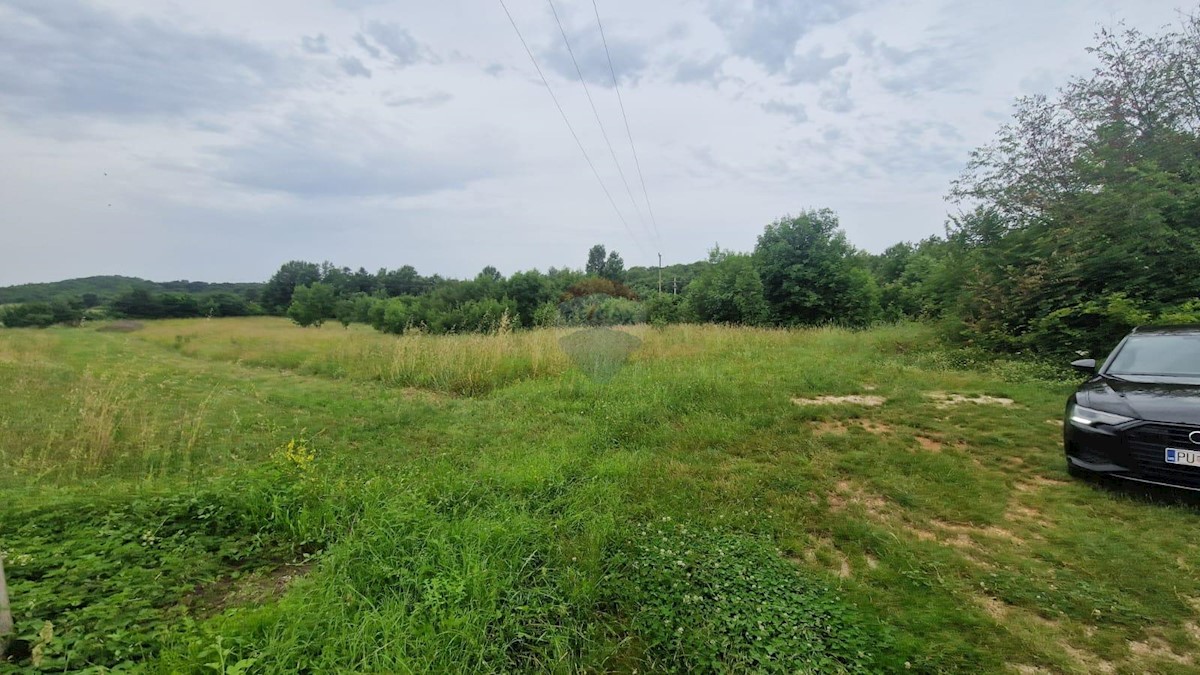 Stavbno zemljišče Gradina, Sveti Lovreč, 36.197m2