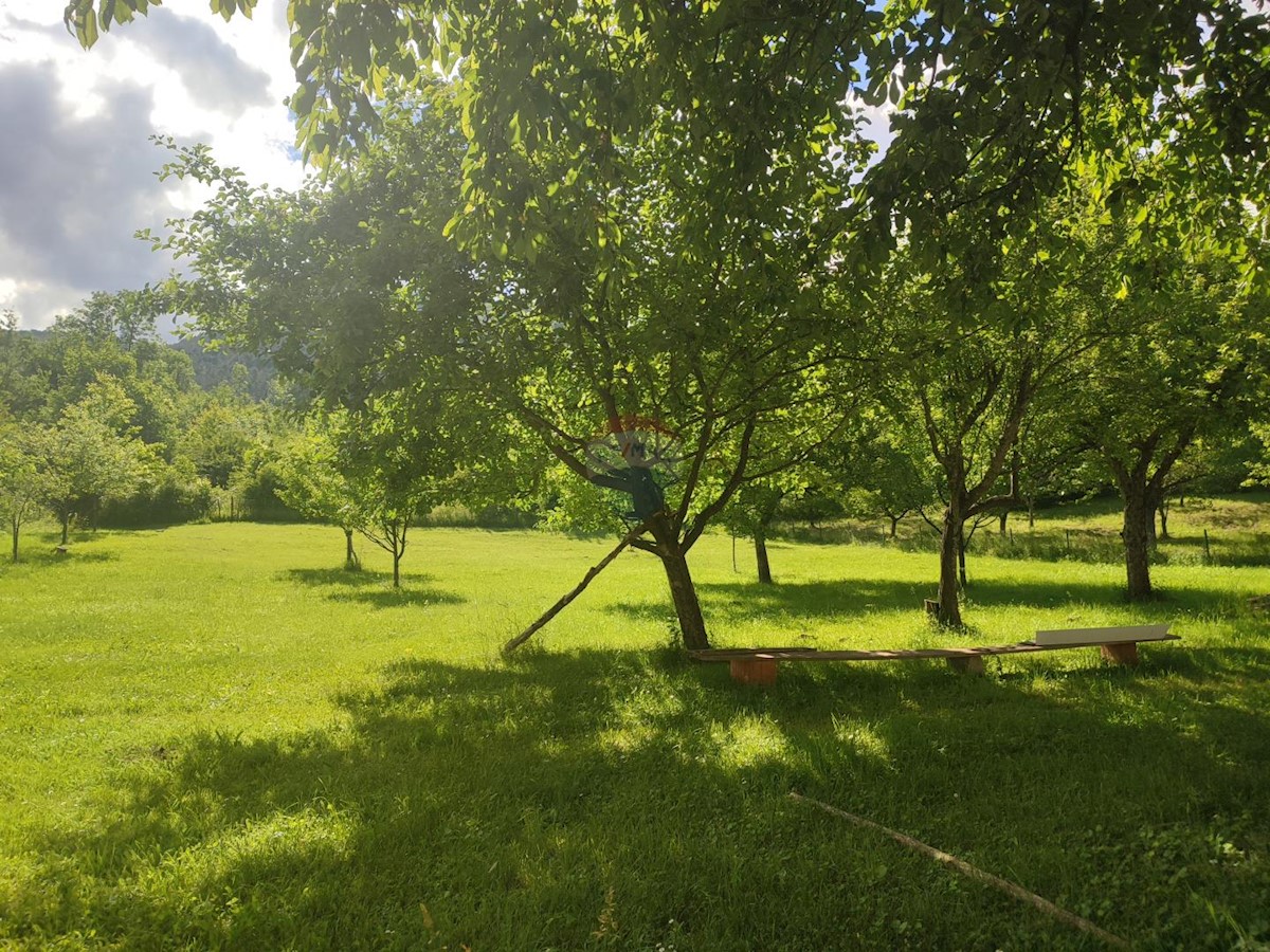 Hiša Nebljusi, Donji Lapac, 238m2