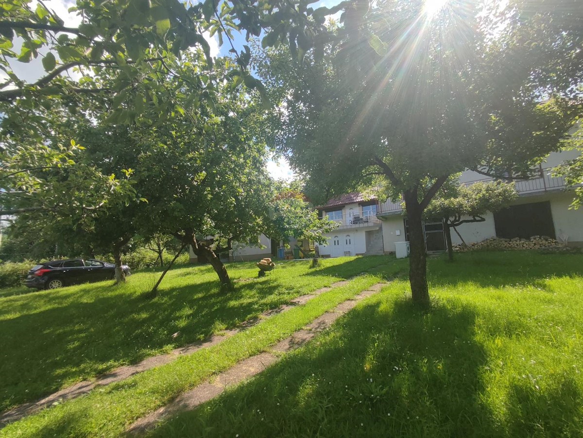 Hiša Nebljusi, Donji Lapac, 238m2