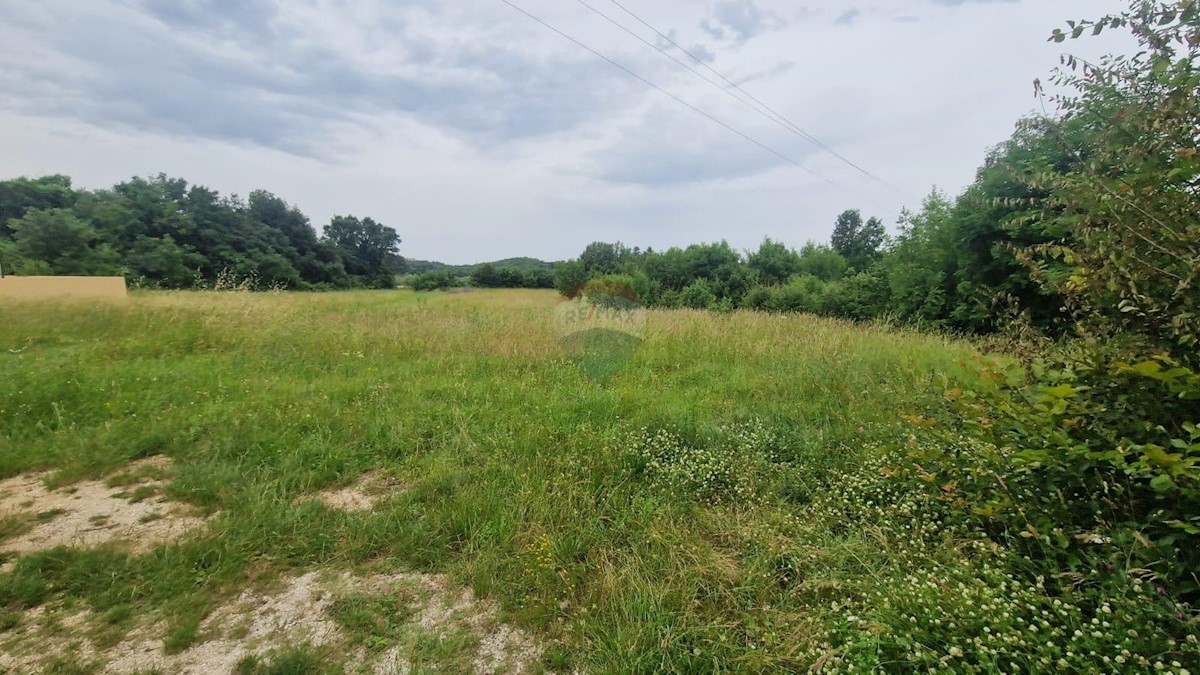 Stavbno zemljišče Gradina, Sveti Lovreč, 20.000m2