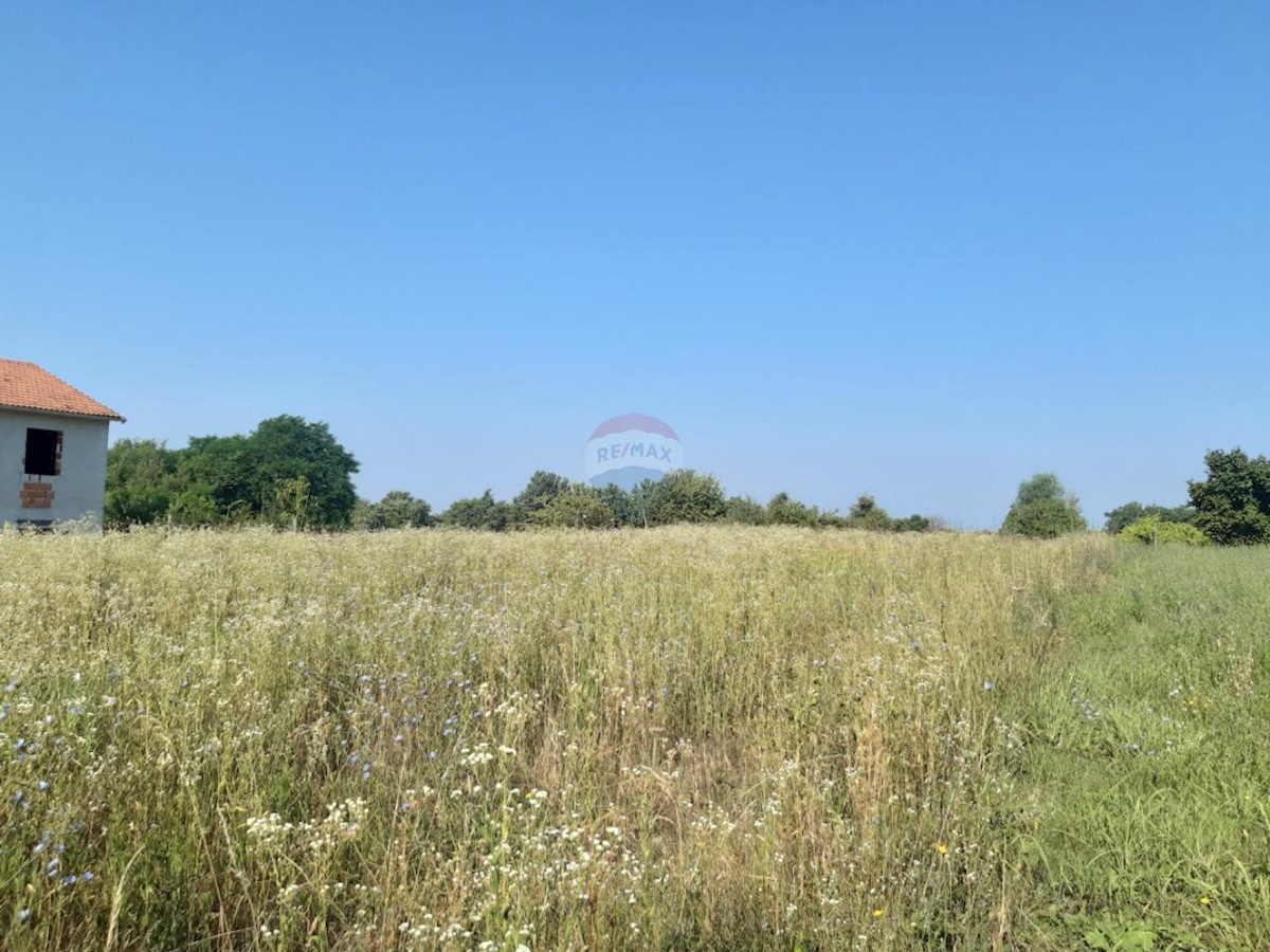 Stavbno zemljišče Žminj, 9.041m2