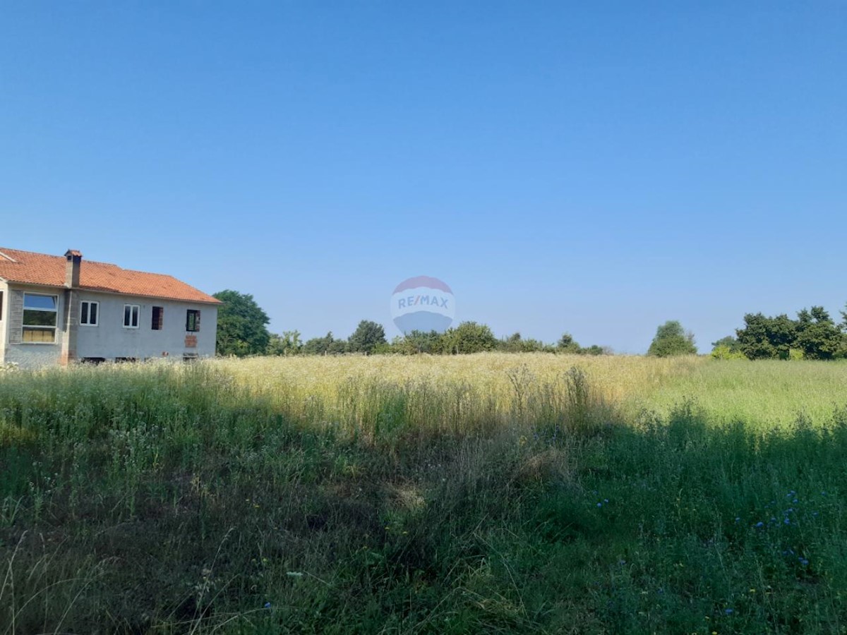 Stavbno zemljišče Žminj, 9.041m2