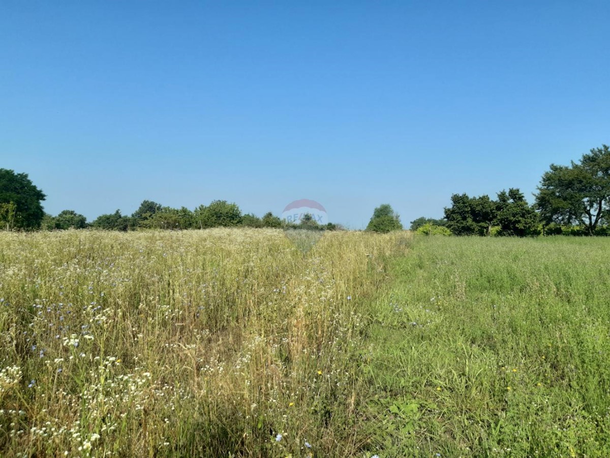 Stavbno zemljišče Žminj, 9.041m2