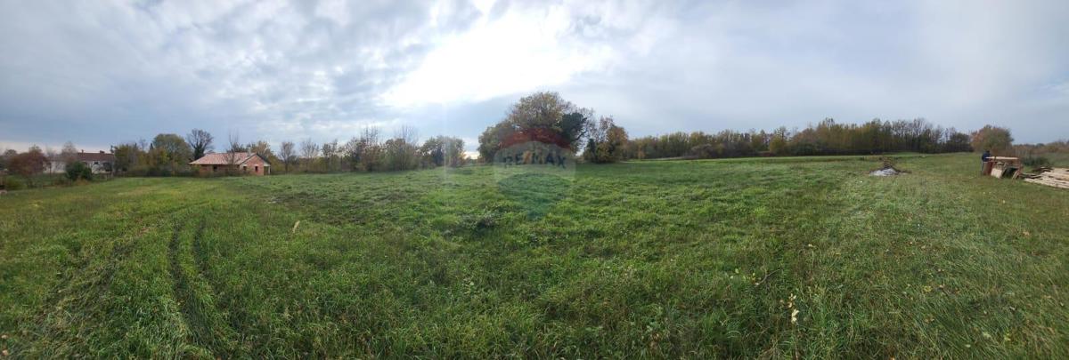 Stavbno zemljišče Barban, 2.185m2