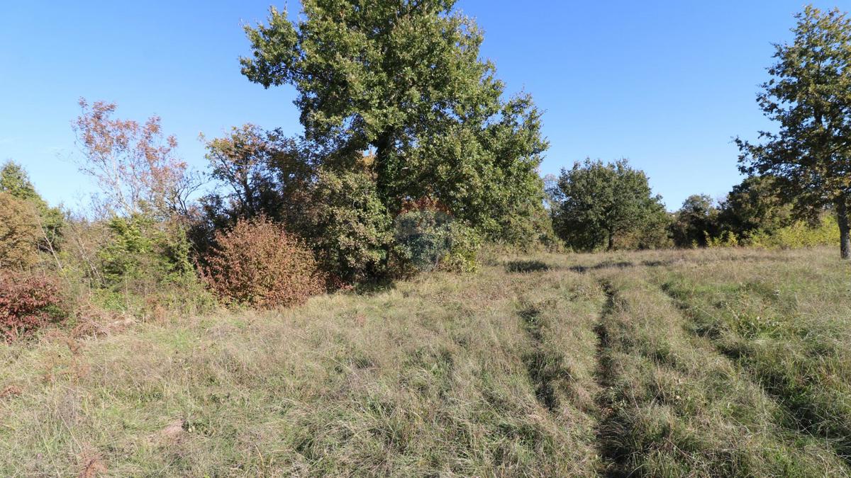Stavbno zemljišče Višnjan, 3.296m2
