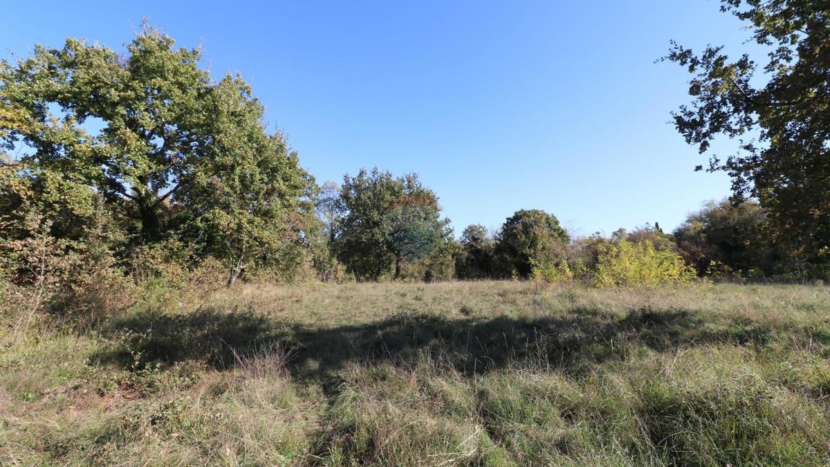 Stavbno zemljišče Višnjan, 3.296m2