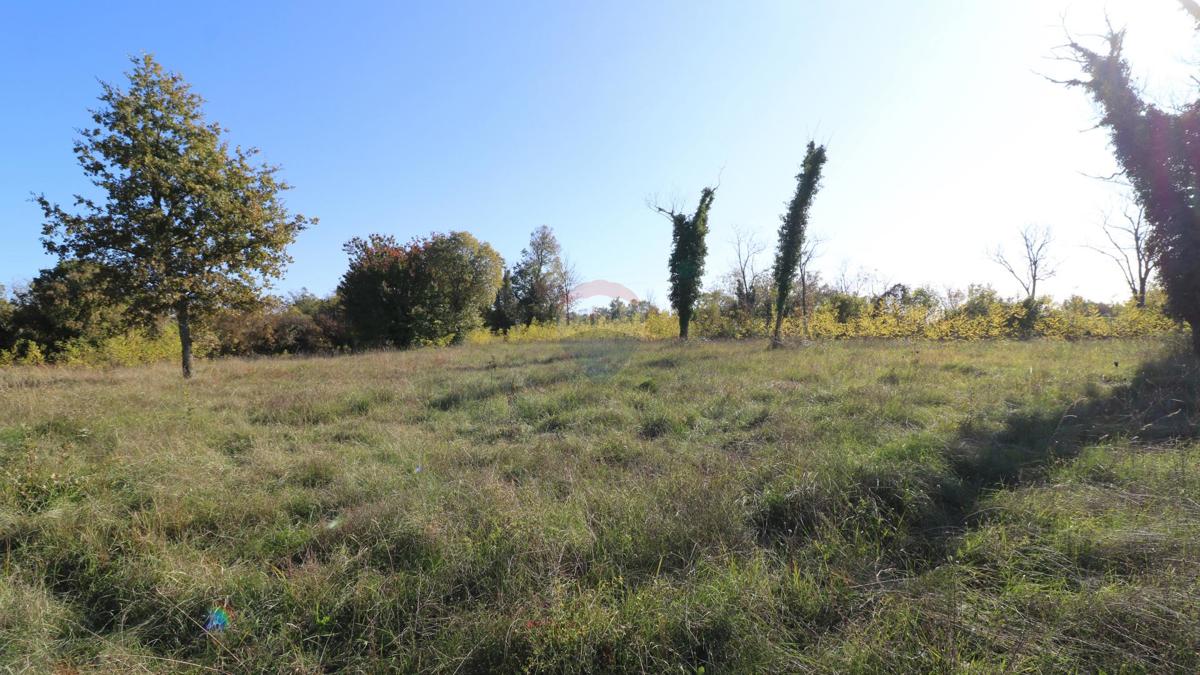 Stavbno zemljišče Višnjan, 3.296m2