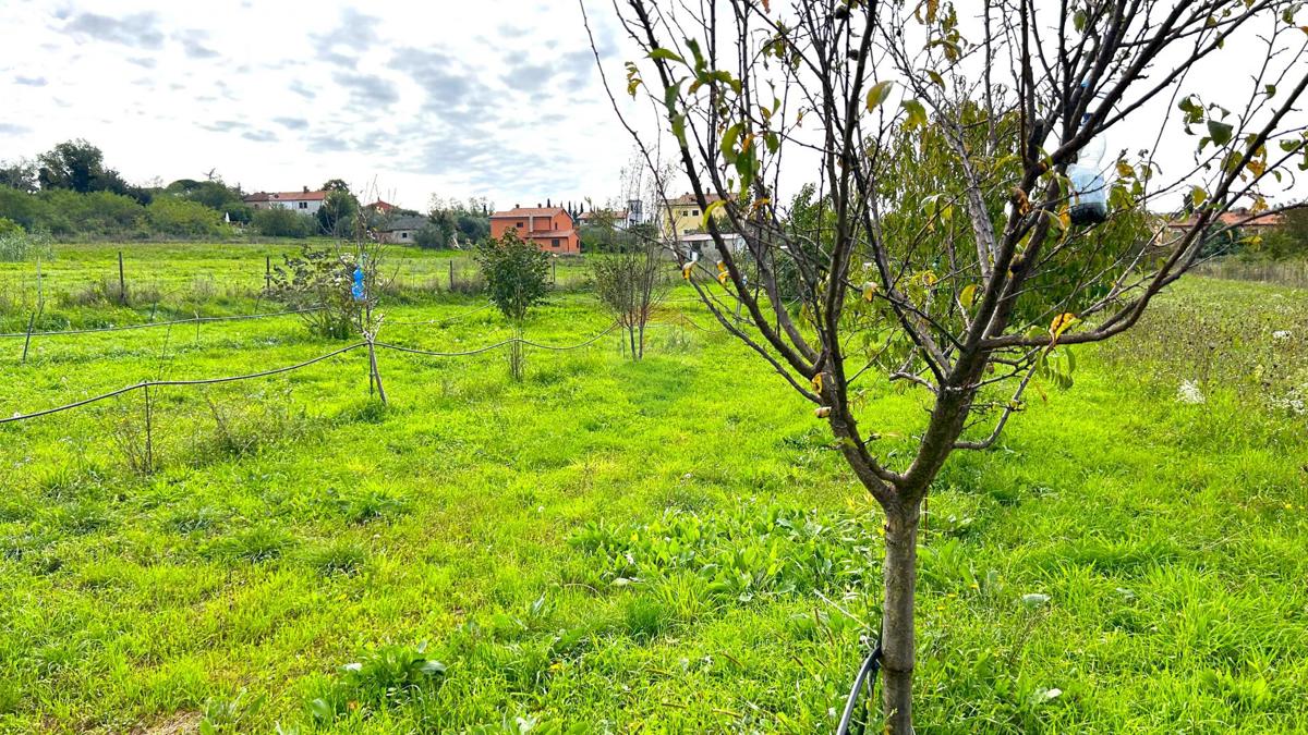 Stavbno zemljišče Materada, Umag, 2.930m2