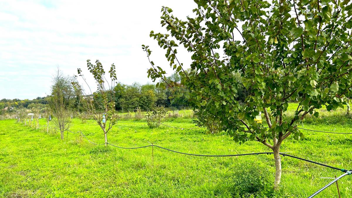 Stavbno zemljišče Materada, Umag, 2.930m2