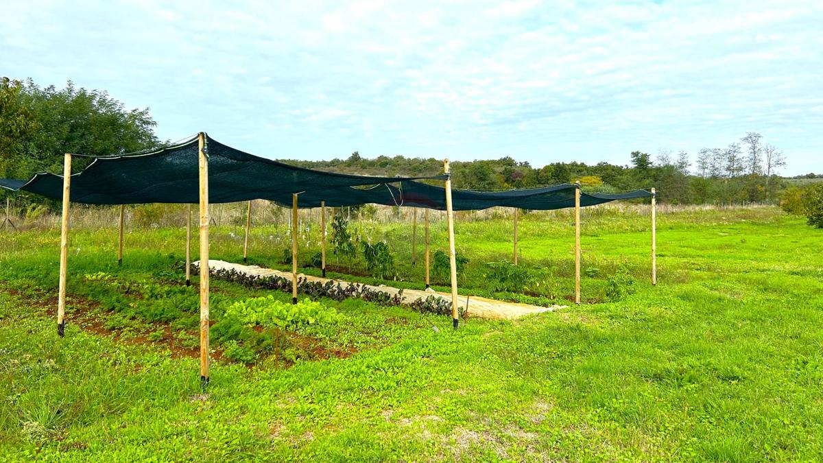 Stavbno zemljišče Materada, Umag, 2.930m2