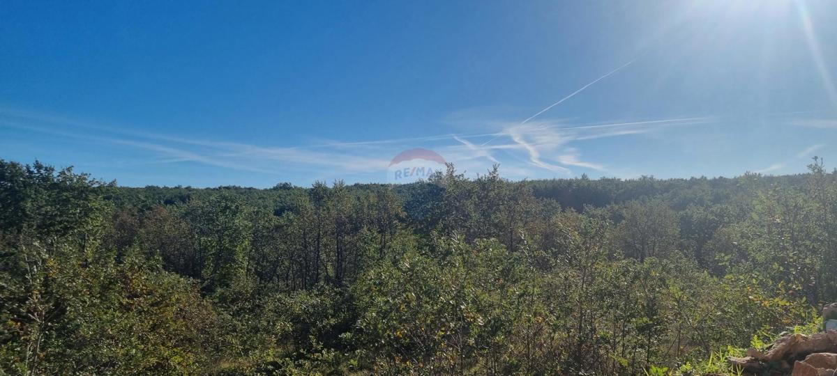 Hiša Majmajola, Vodnjan, 260m2